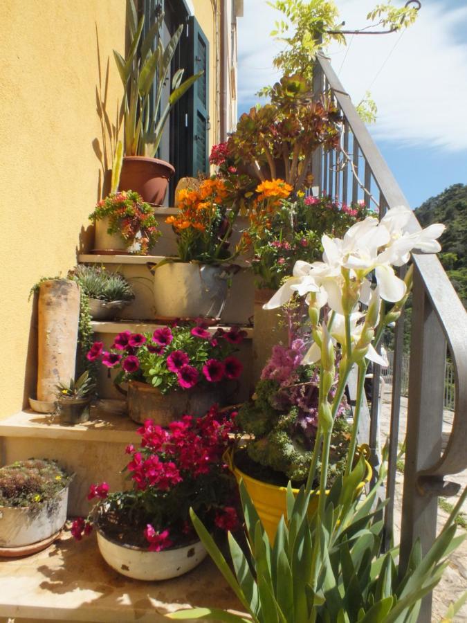 La Casa Di Sveva Apartamento Ragusa Exterior foto